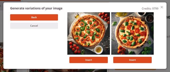 Variações diferentes de imagens de IA criadas usando o editor do SeedProd