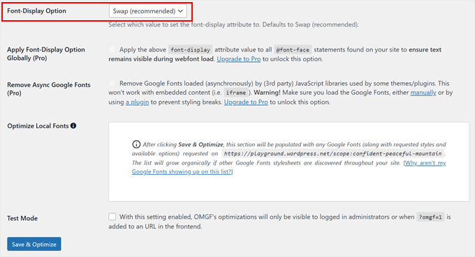 Salvataggio delle modifiche al plugin Optimize My Google Fonts