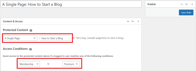 Konfigurera regler för lösenordsskydd i MemberPress