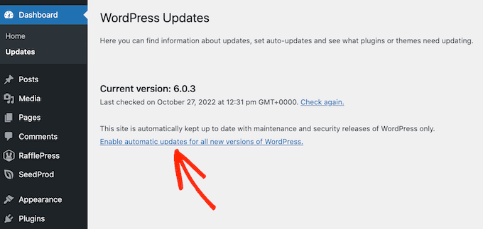 How to enable automatic updates in WordPress How to enable automatic updates in WordPress