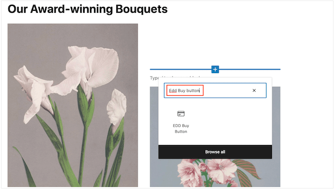 Der EDD Buy Button Block