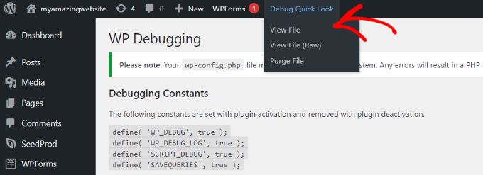 Click view file in debug mode Click view file in debug mode