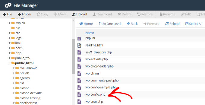 Download the wp-config file Download the wp-config file