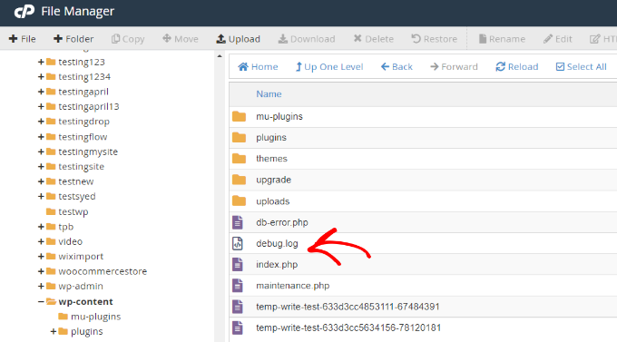 View the debug log file View the debug log file