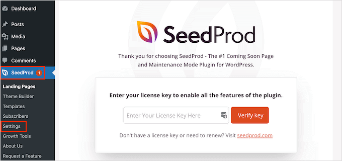 SeedProdライセンスの入力 SeedProdライセンスの入力