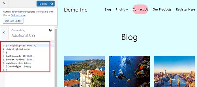 Add CSS code in theme customizer Add CSS code in theme customizer