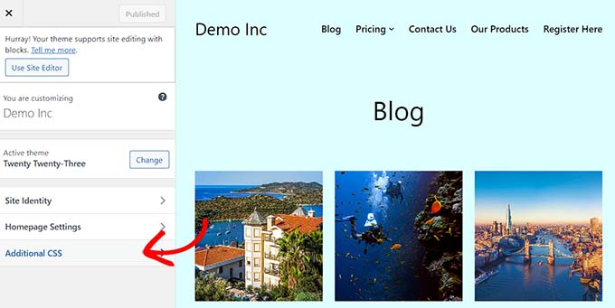 Expand the additional CSS tab Expand the additional CSS tab