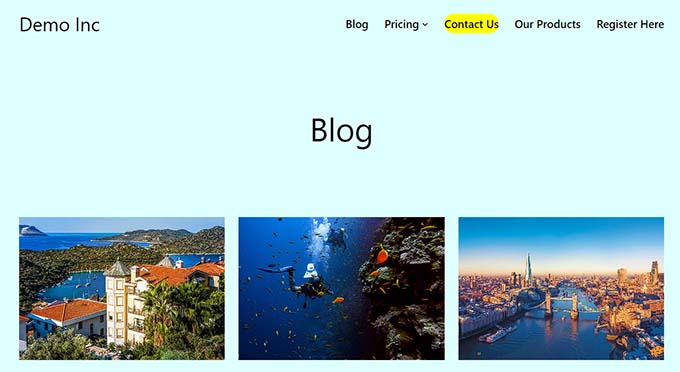 Highlighted menu item preview Highlighted menu item preview