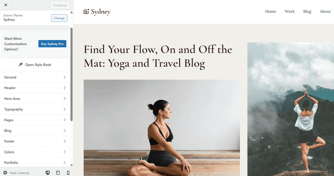 Sydney theme customization options