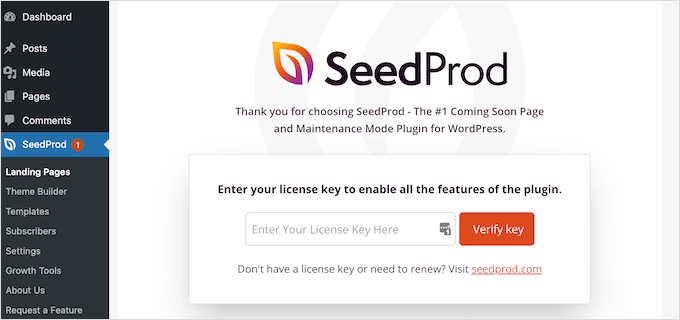 SeedProd license key SeedProd license key