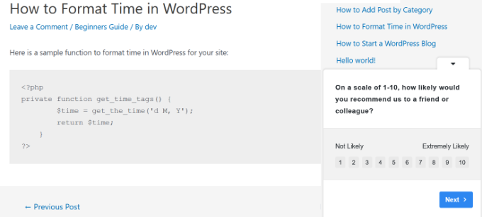 NPS survey preview NPS survey preview