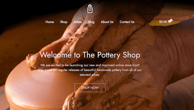 An example of an eCommerce template, provided by SeedProd