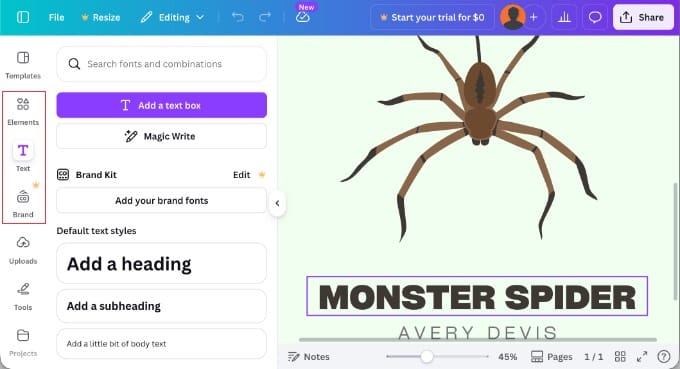 Personnalisation d'un modèle Canva Personnalisation d'un modèle Canva