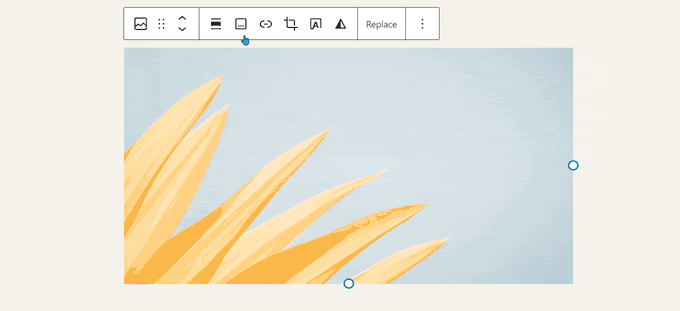 Botão Adicionar legenda