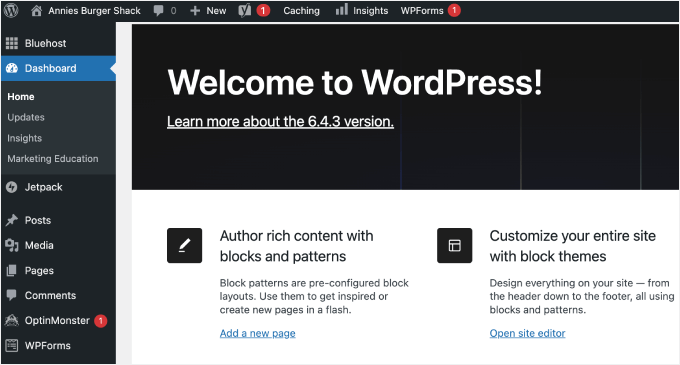 WordPress site admin WordPress site admin