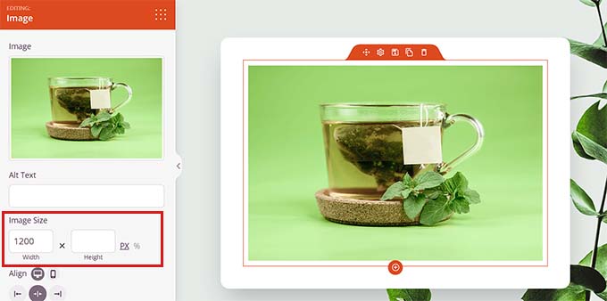 Change the block size in SeedProd Change the block size in SeedProd