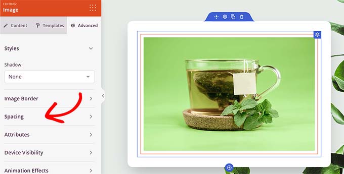 Visit the Spacing panel by switching to the Advanced tab Visit the Spacing panel by switching to the Advanced tab
