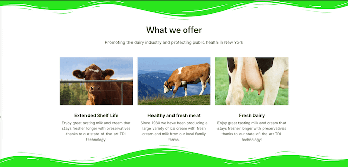 Un séparateur de forme personnalisé, créé à l'aide de SeedProd