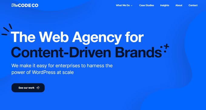 The Code Company WordPress Development Agency