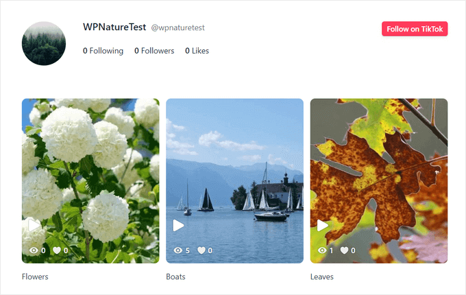 Un exemple de flux TikTok, intégré sur un site WordPress