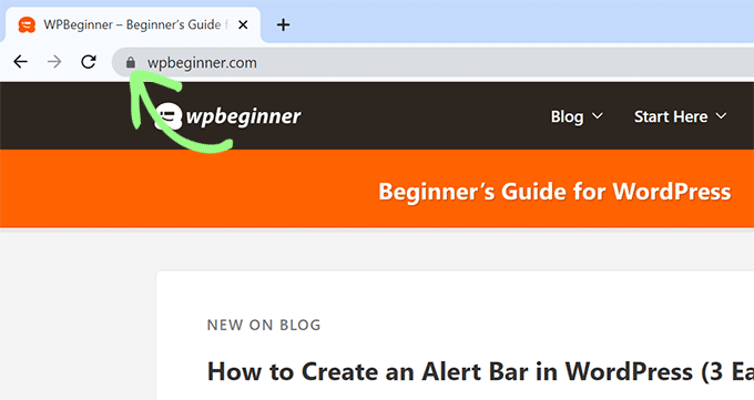 Lacăt securizat pentru site web