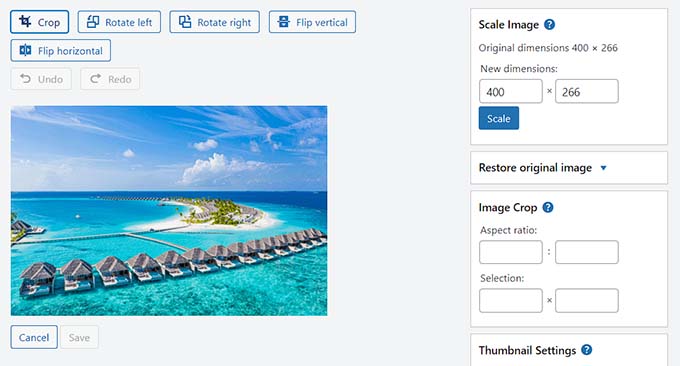 basic editing features in WordPress basic editing features in WordPress