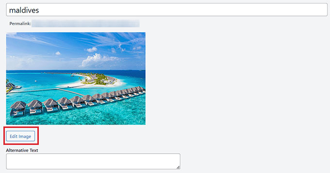 Click the Edit Image button Click the Edit Image button