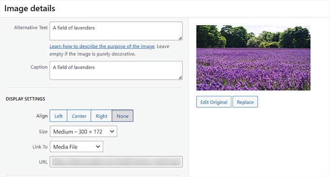 Edit image in the classic editor Edit image in the classic editor