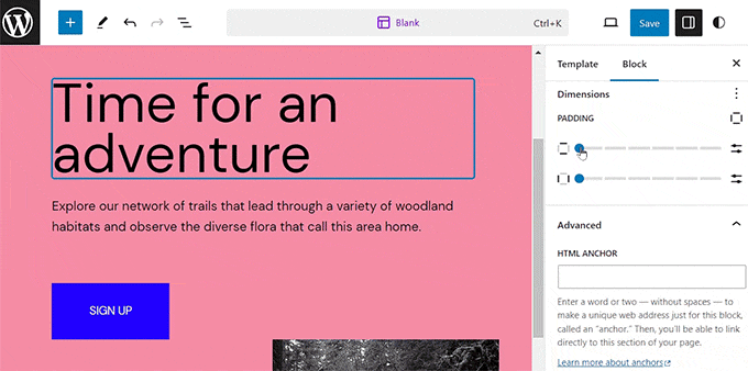 Padding preview Padding preview