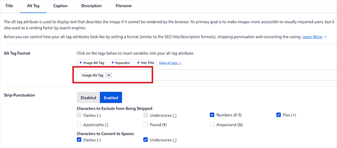 SEO settings for alt tags SEO settings for alt tags