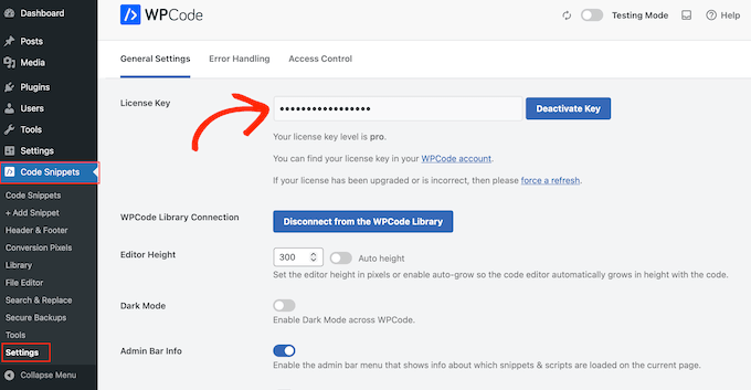 Upgrade auf ein Premium Code Snippets Plugin