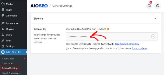 Activating the license key on AIOSEO Activating the license key on AIOSEO
