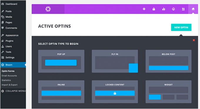 Bloom user interface Bloom user interface