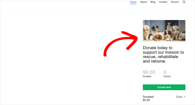 Display your fundraising campaign in the WordPress sidebar Display your fundraising campaign in the WordPress sidebar