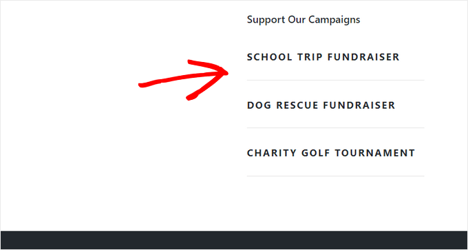 Charitable Campaigns widget Charitable Campaigns widget