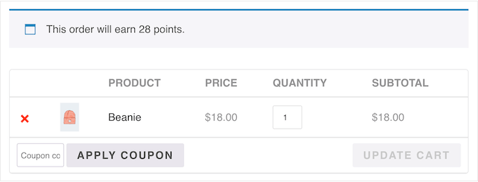 Como adicionar um programa de fidelidade à sua loja WooCommerce