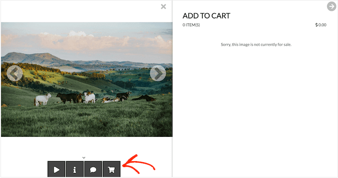 Como vender suas imagens online usando um plugin de galeria