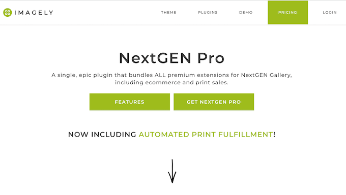 O NextGEN Gallery é o plugin de galeria certo para o seu site WordPress?