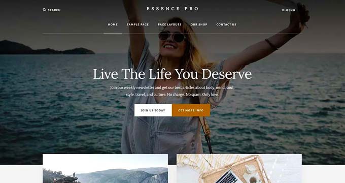 An example of a WordPress travel theme