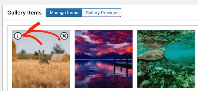 FooGalleries avancerade modal för bilagor