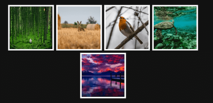 Ett exempel på ett galleri, skapat med FooGallery