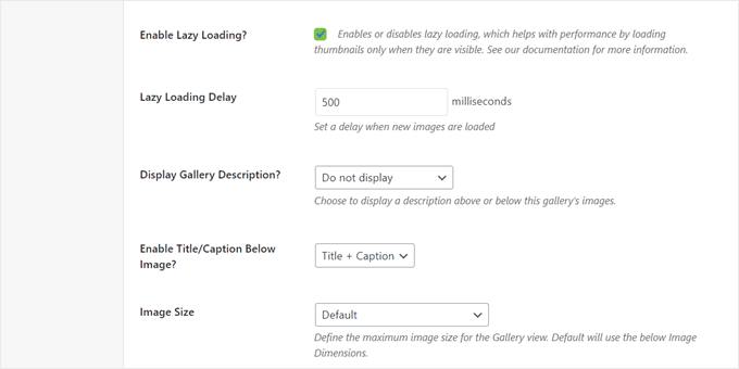 Envira Galleryで遅延読み込み機能を有効にする