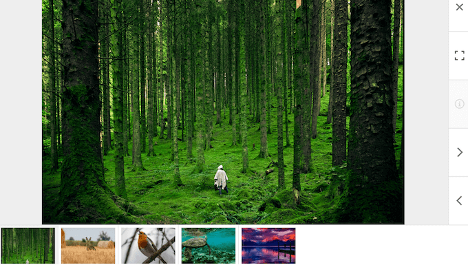Ett exempel på ett lightbox-popup-fönster på en WordPress-webbplats