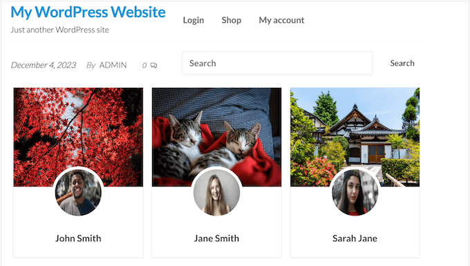 ProfilePress kullanılarak oluşturulmuş bir üyelik dizini örneği