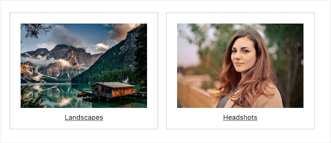 Un ejemplo de álbumes, creados con NextGEN