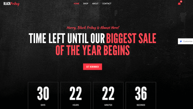 An example of a WordPress starter website An example of a WordPress starter website