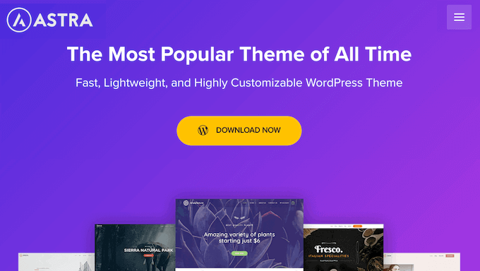 Is Astra the right multipurpose WordPress theme for you? Is Astra the right multipurpose WordPress theme for you?