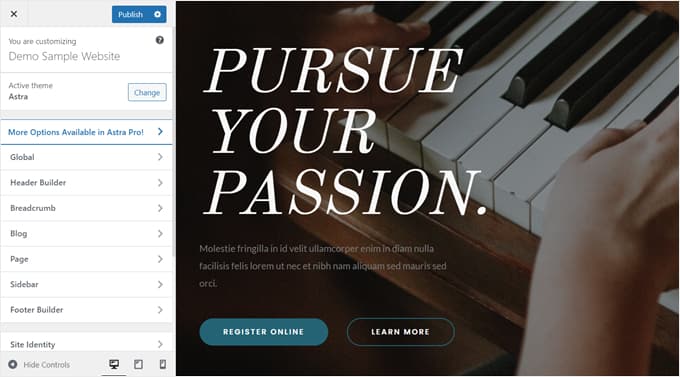 What the Theme Customizer looks like for Astra theme What the Theme Customizer looks like for Astra theme