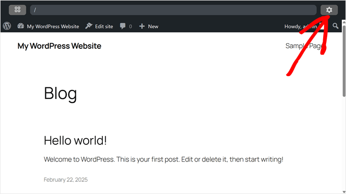 Apertura delle impostazioni di WordPress Playground