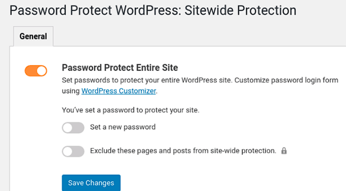 Password protect the entire site
